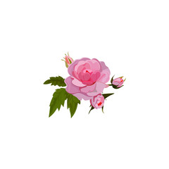 Fototapeta premium bouquet of roses