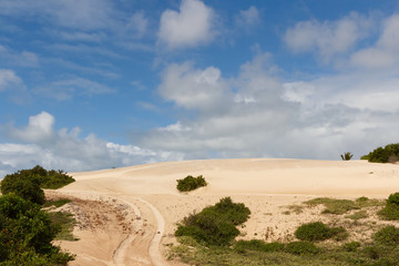 Mangue Seco, Jandaíra, Bahia, Brazil