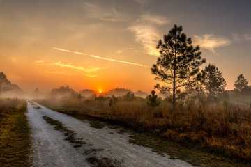 Country Road Morning