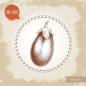 Hand drawn sketch style eggplant illustration. Vector food ecological artwork.