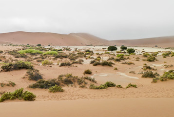 Namib desert in Namibia