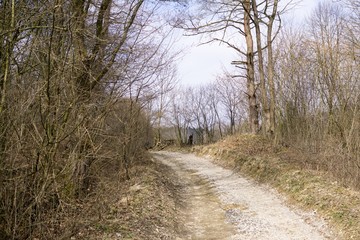 Fototapeta premium Road in the valley. Slovakia