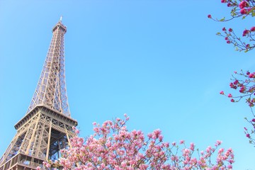Eiffel tower in spring