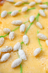 Weidenkätzchen auf Käsekuchen