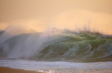 Hawaiian Winter Wave