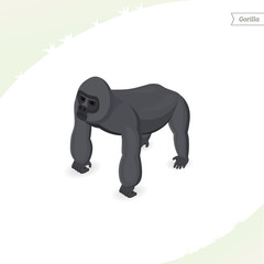 Obraz premium Gorilla isolated on white background. Isometric view. Flat vector illustration.