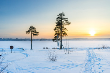 Fototapeta na wymiar Winter forest with snow on pine trees