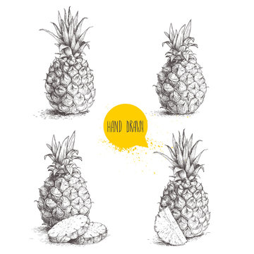 Hand drawn sketch style set illustrations of ripe pineapples. Exotic tropical fruit vector illustrations isolated on white background.