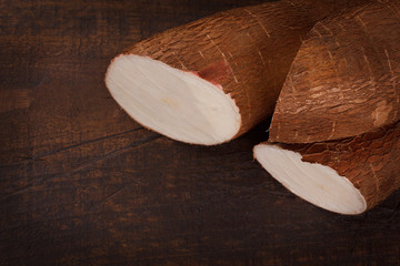 Manihot esculenta (cassava, yuca, manioc, mandioca, Brazilian arrowroot)
