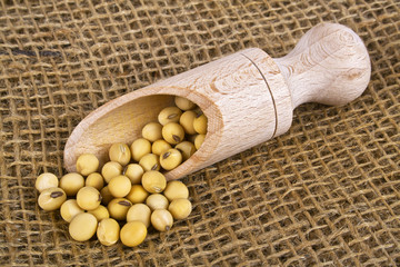 Soybeans in wooden spoon on burlap background