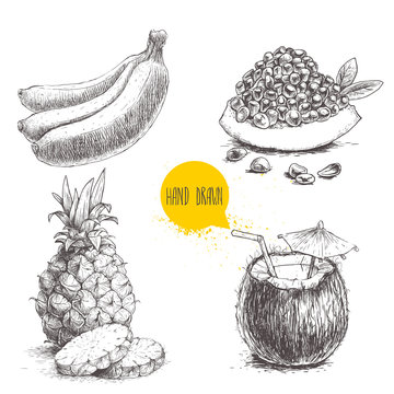 Hand drawn sketch style tropical fruits set isolated on white background. Lot of bananas, coconut cocktail, pineapple with slices and pomegranate with seeds. Tropic food vector drawing.