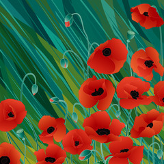 Vector red poppies on abstract green background