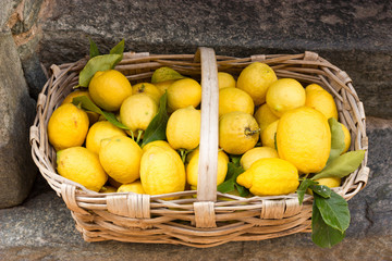 Fresh harvested lemons in wicker basket on stone stairs