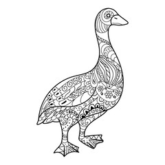 Goose coloring book vector illustration