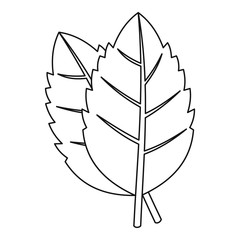 Basil leaves icon, outline style