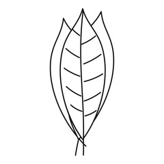 Bay leaves icon, outline style