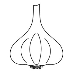 Garlic vegetable icon, outline style