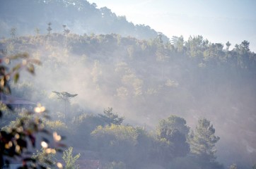 Photos form my village