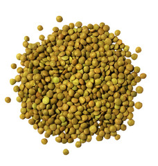 Healthy ecological lentils isolated on white Excellent natural energy source of protein. Vegetarian italian traditional new year christmas food dish. Vegetarian sport food after workout.
