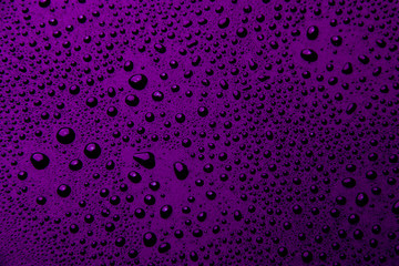 Drops of water on a color background. Violet