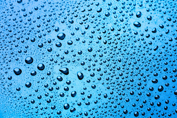 Drops of water on a color background. light blue
