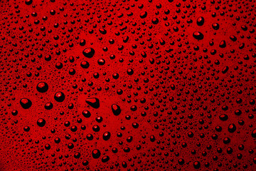 Drops of water on a color background. Red