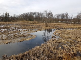 Rozlewiska. Strumień