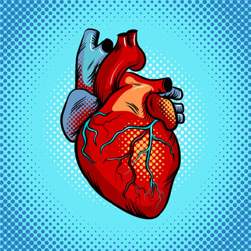 Human Heart Pop Art Style Vector Illustration