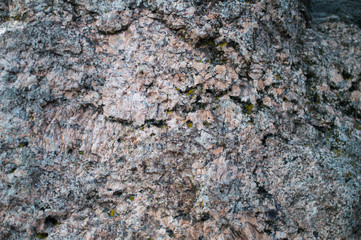 Background of a stone covered with moss. Dark texture.