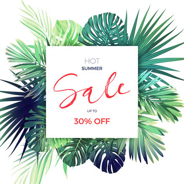 Green botanical summer tropical sale flyer with palm leaves and exotic plants. Vector floral banner template.