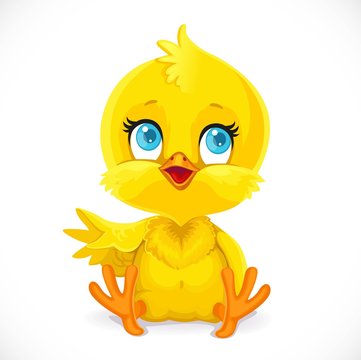 Cute baby chick sit on a white background