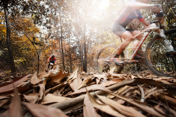 Fototapeta na wymiar low angle view of cyclist riding mountain bike,sport background.