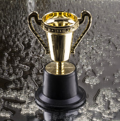 Pokal für den Sieger