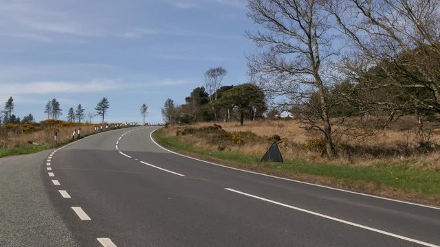 Quiet road besides trees and grass, no cars