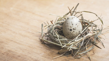 Naklejka na ściany i meble Quail eggs in a nest on a wooden background. easter