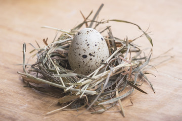 Naklejka na ściany i meble Quail eggs in a nest on a wooden background. easter