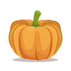 pumpkin nutrition healthy image vector illustration eps 10
