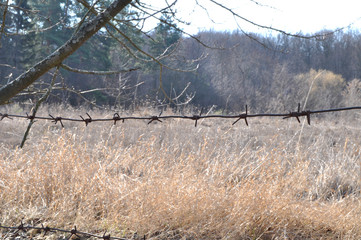 Barbed wire fence on a wooden table