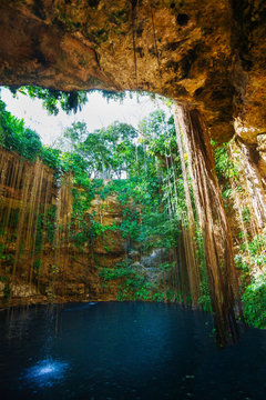 Inlet opening of Ik-Kil cenote with hanging roots