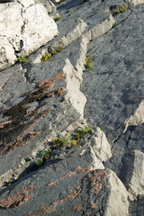 Severe cracked rocks on the sea shore