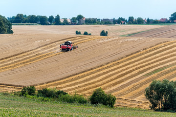 Obraz premium Harvester working on the field