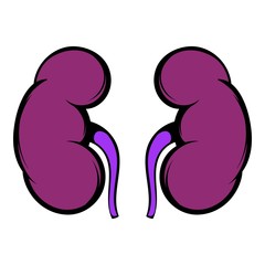 Human kidney icon, icon cartoon