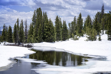 creek winter landscape