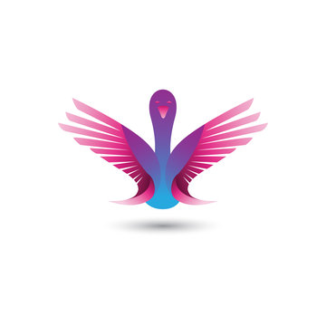  Swan Logo