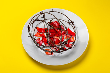 unhealthy food - barb wire and broken glass on a white plate