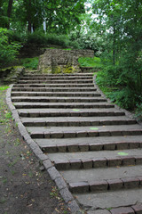Stairway in park