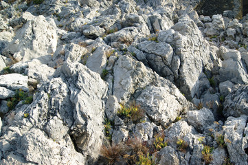 Surface of coastal rocks