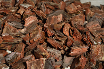 Tree, soil for orchids, pine bark, cut pine bark, prepared bark for planting orchids