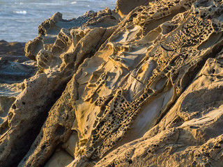 Fototapeta na wymiar Tafoni Formations at Bean Hollow State Beach