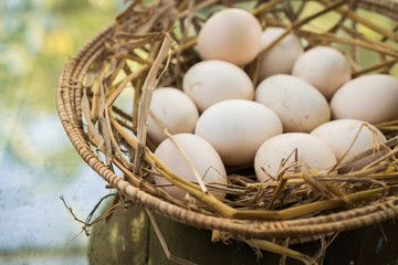 Basket with eggs in straw